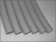 ������ - 25 �� � ������ - ����� ������ �������������